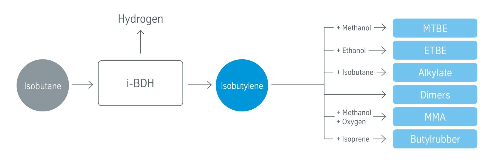 Isobutane Dehydrogenation Anwendungen Isobutane Dehydrogenation Anwendungen