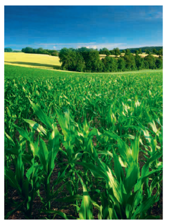Urea-ES - Increased yield and better crop quality Urea-ES - Increased yield and better crop quality