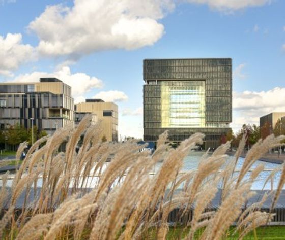 Verantwortungsvoller & attraktiver Arbeitgeber