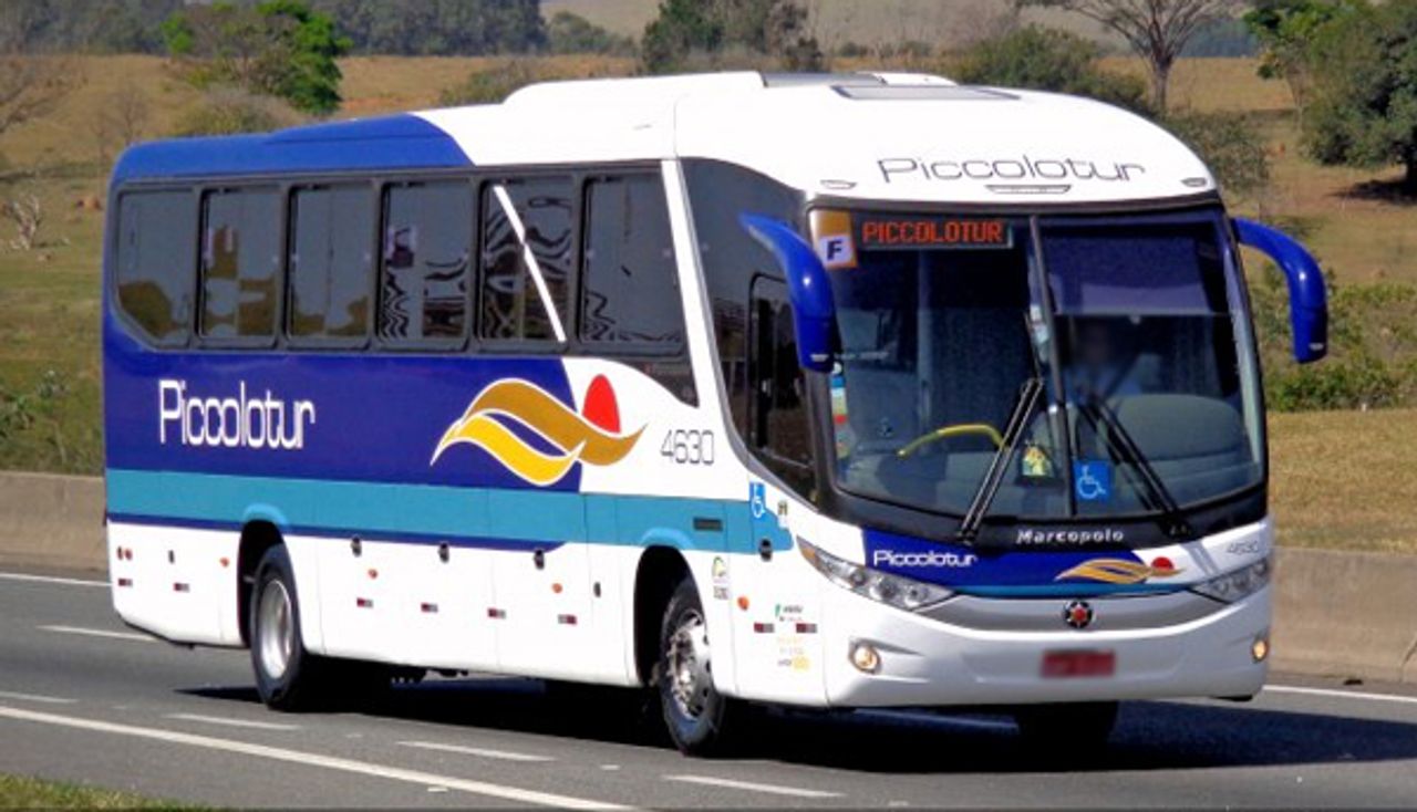 Free Transportation Services