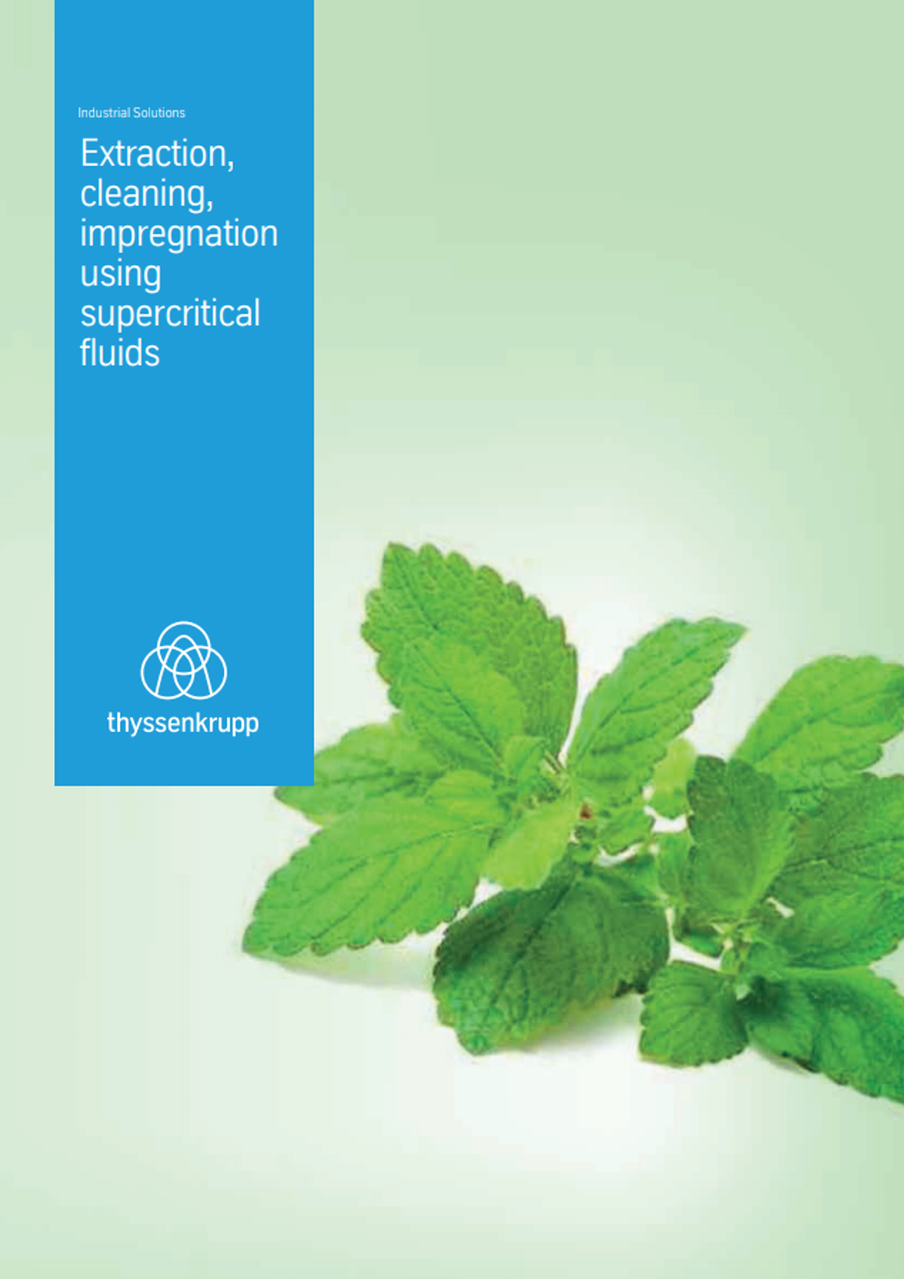 Extraction, cleaning, impregnation using supercritical fluids 