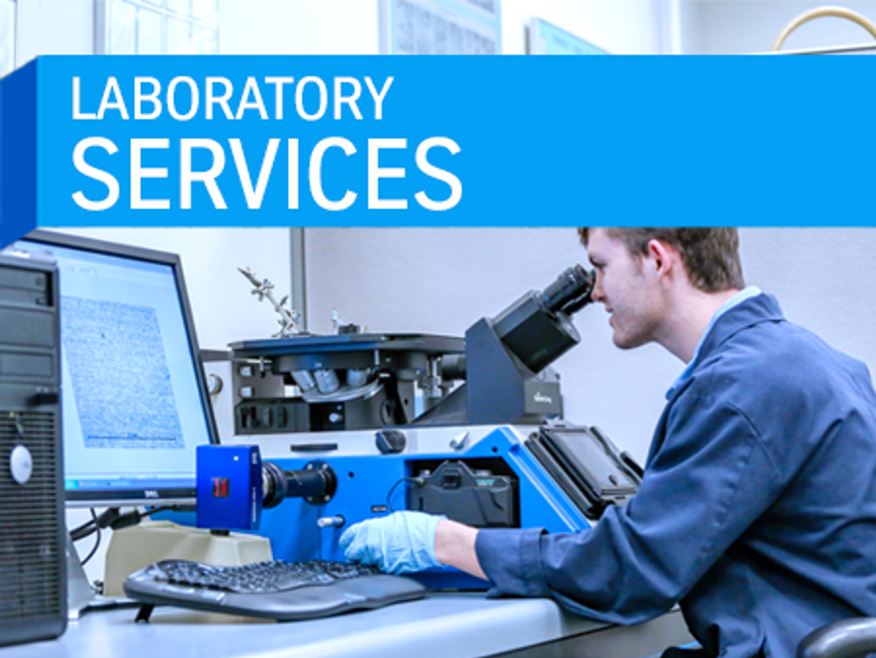 Services de laboratoire