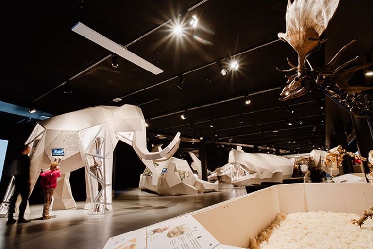 Giants tentoonstelling