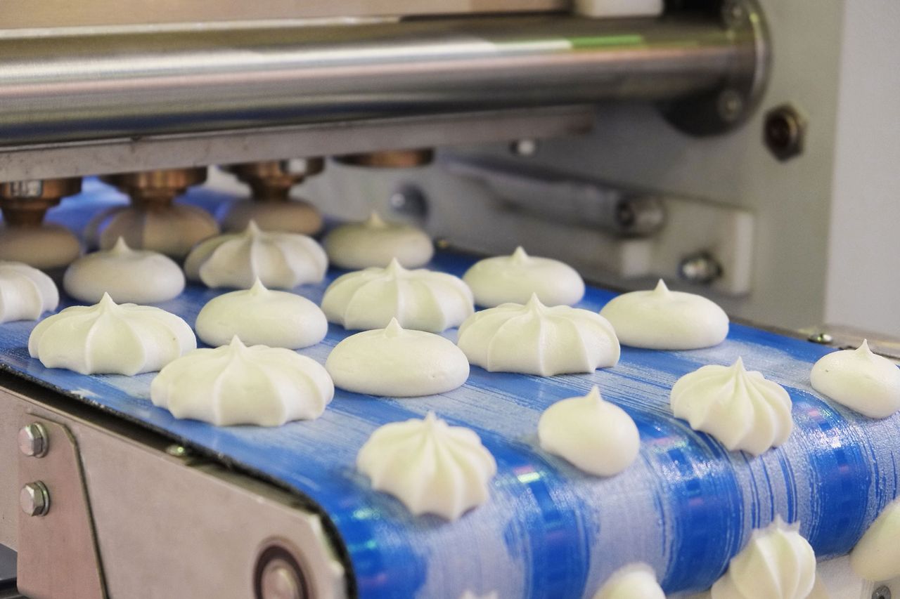 Food Processing plastics