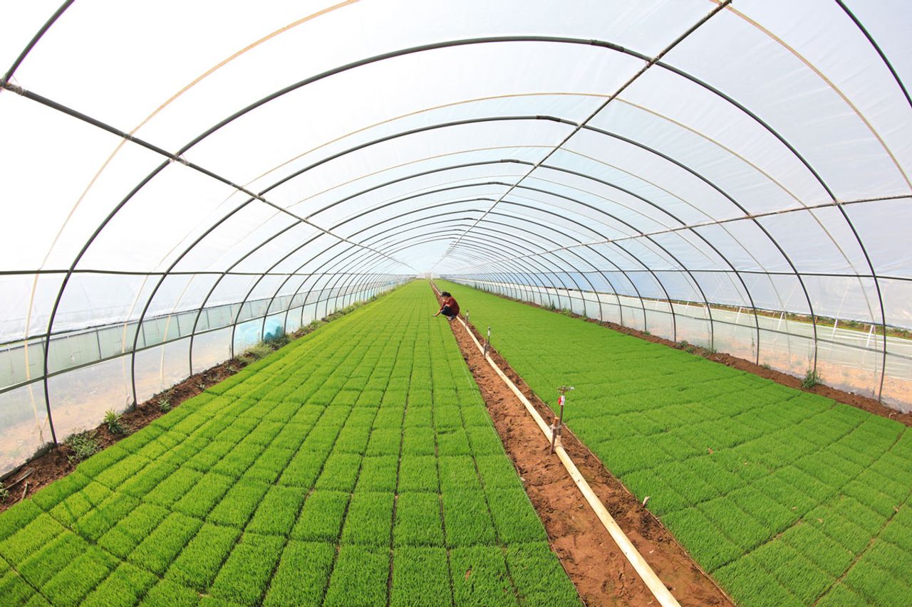 plastics for agriculture