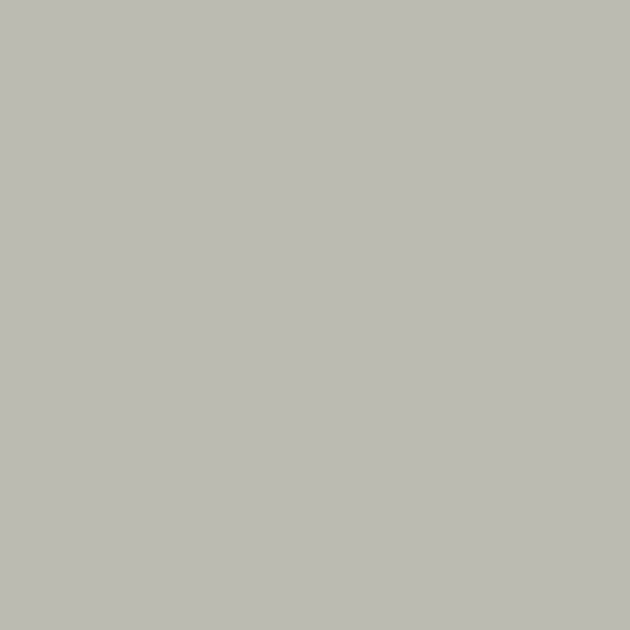 E0-02 Silver Grey
