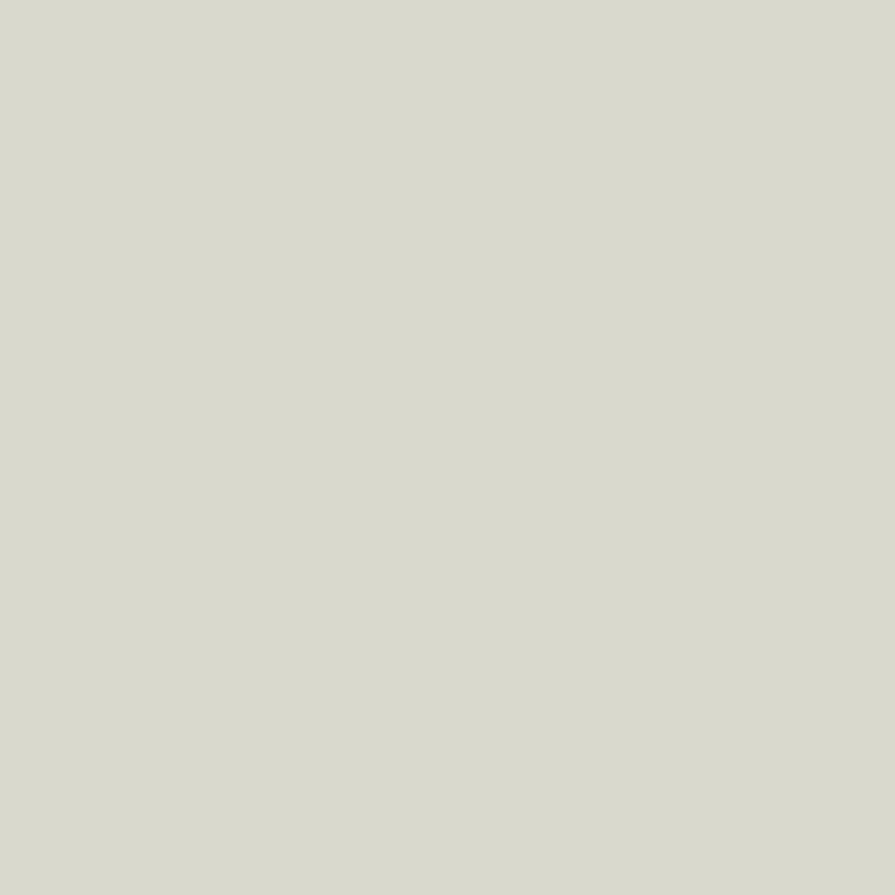 T03.1.0 Pastel Grey
