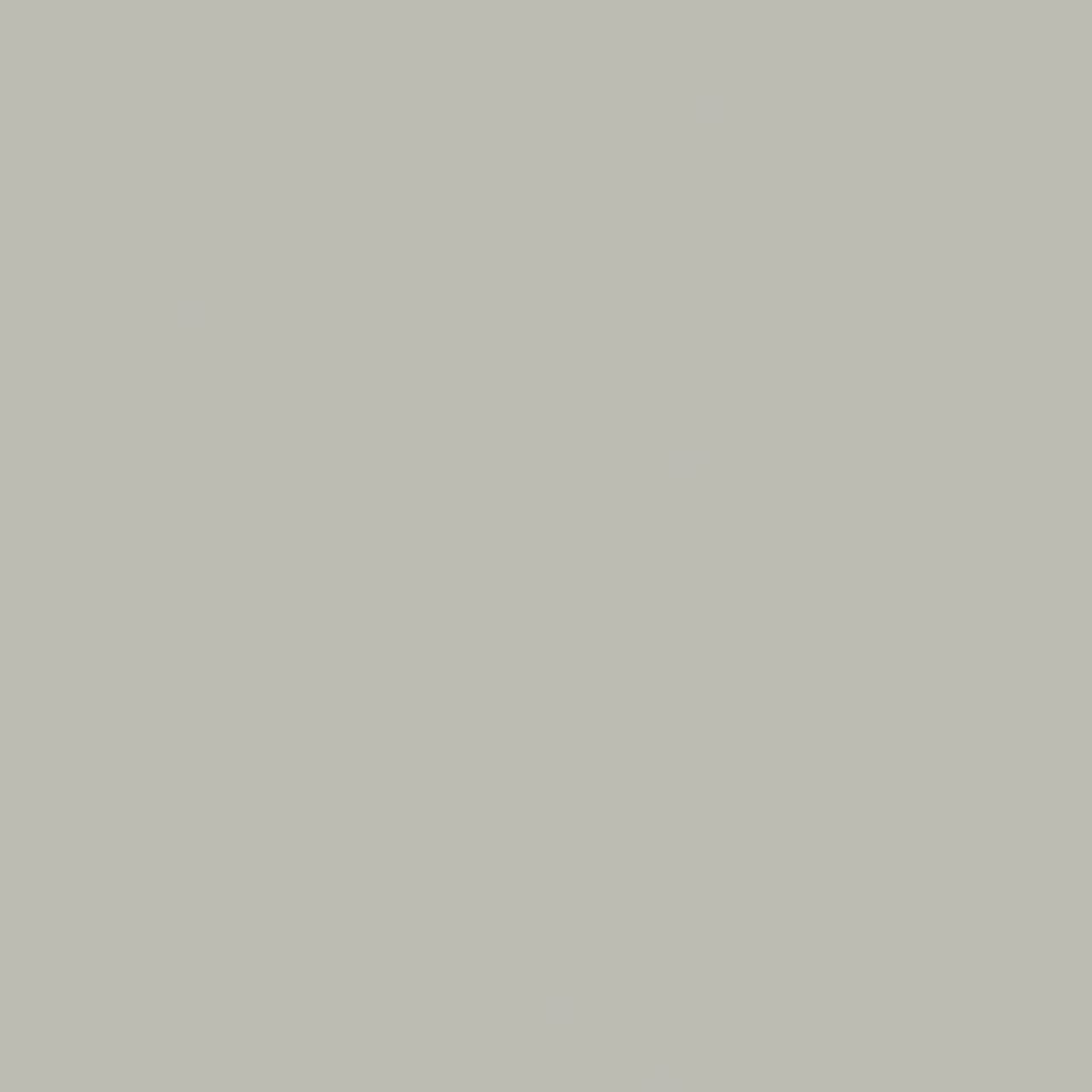 T03.4.0 Silver Grey