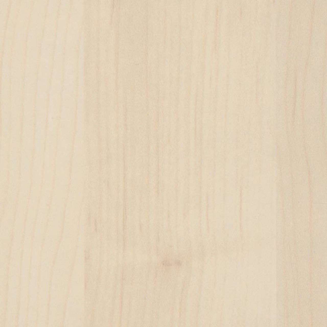 W71-03 Silver Maple