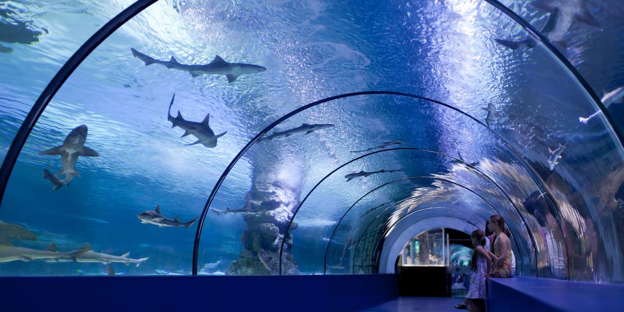 Aquarium Verglasung aus PLEXIGLAS® Blöcke