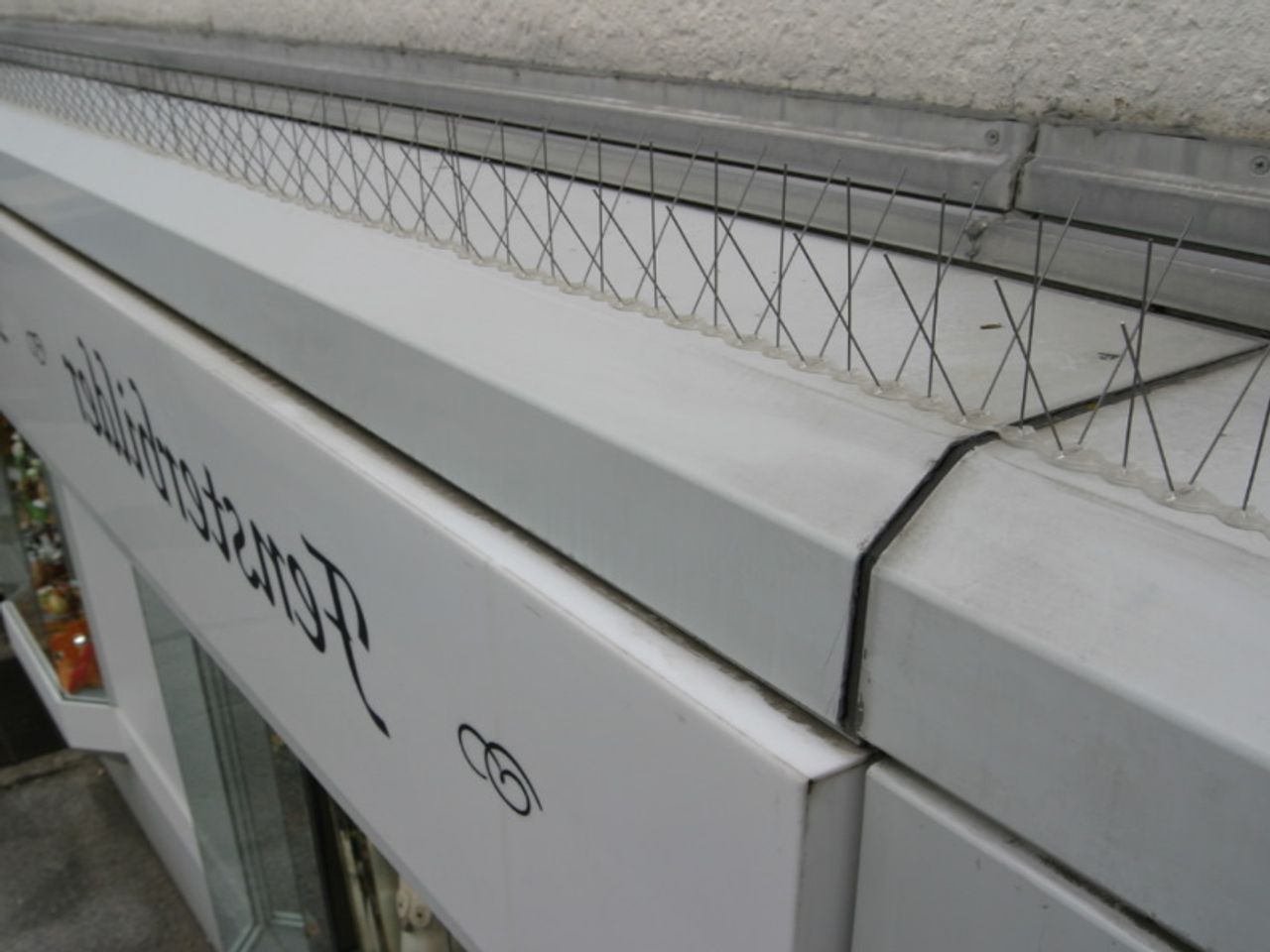 ECOPIC® Taubenabwehr