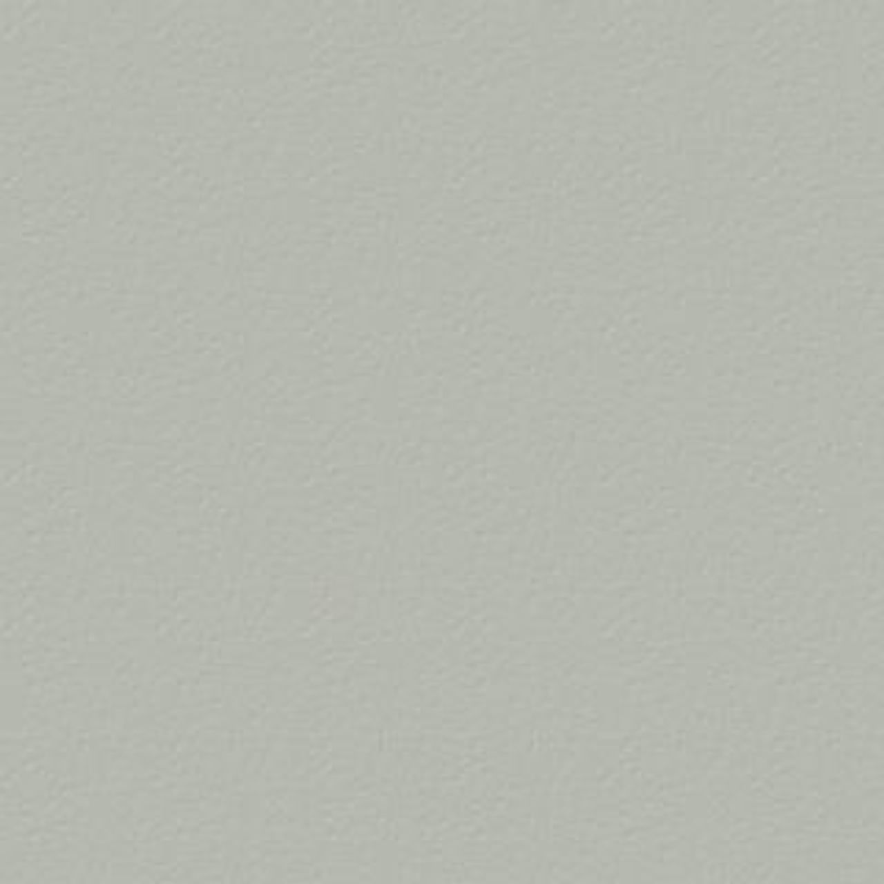 SILVER GREY