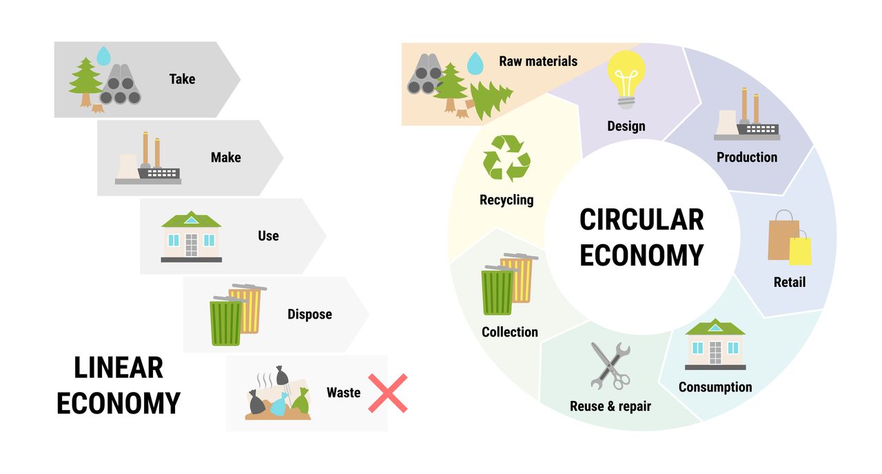 diagram showing circular economy structure and how it works within the linear economy