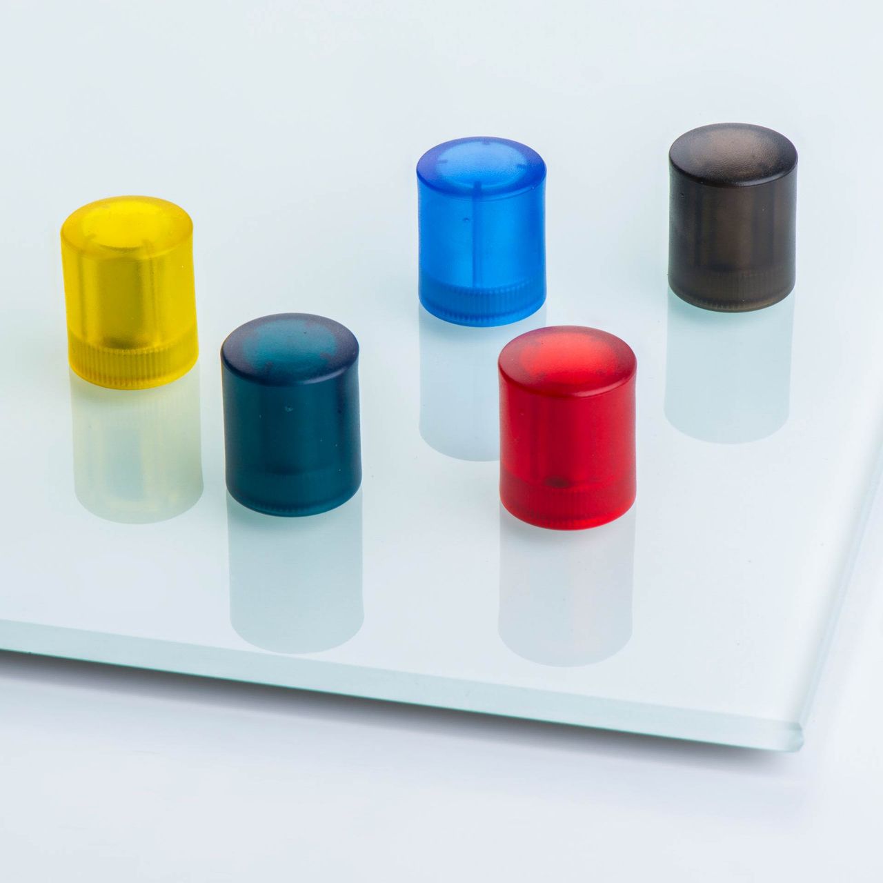 Glasboard magnet made of NdFeB with cylindrical plastic housing, coloured, thyssenkrupp Magnettechnik