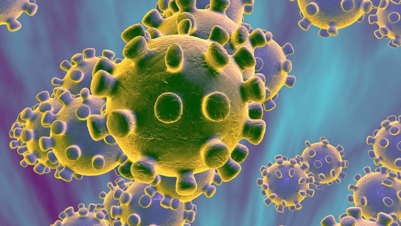 Corona virus - supply for semi-finished products