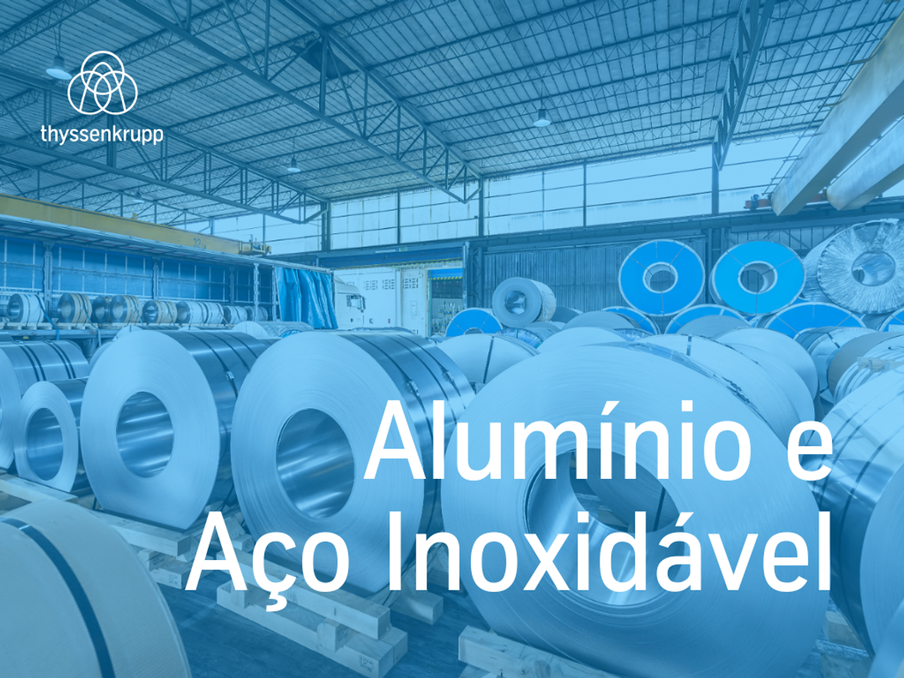 catalogo aço inox thyssenkrupp