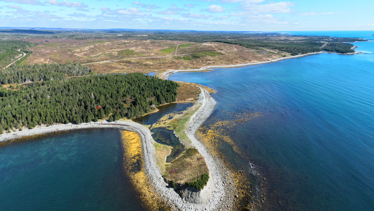 thyssenkrupp Uhde selected for biomass-to-methanol technology integration study for Nova Sustainable Fuels in Canada