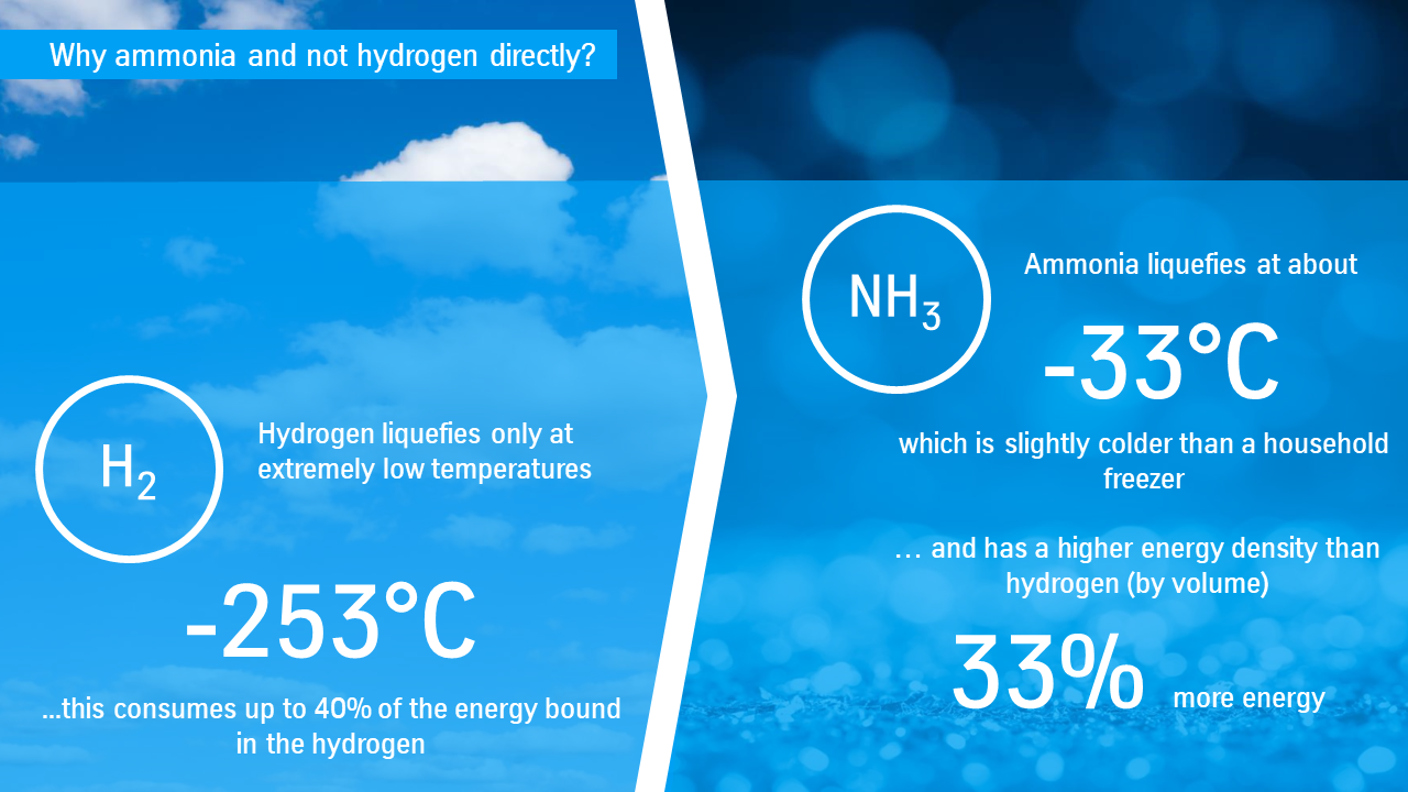 Advantages of amnmonia as a hydrogen carrier