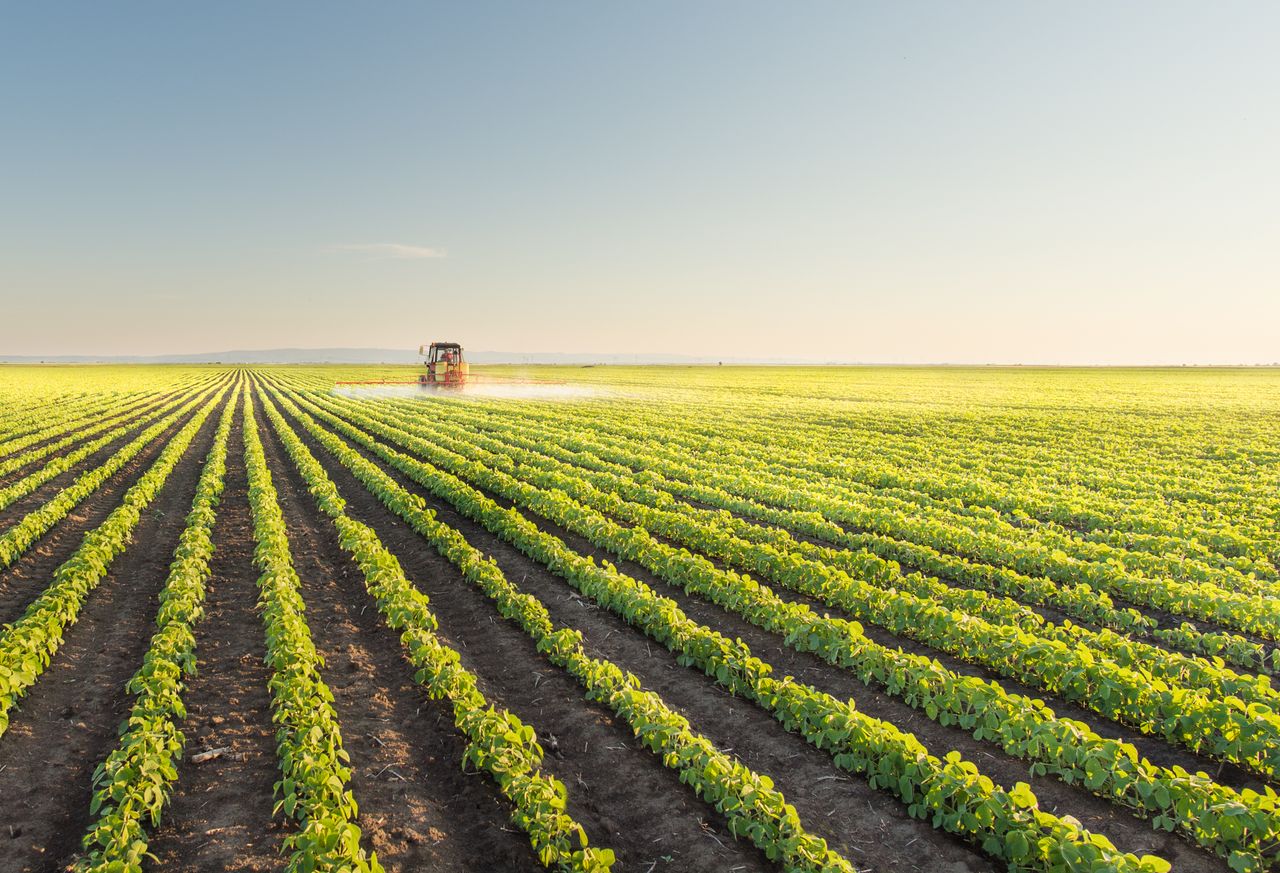 Sustainable agriculture & NH3 derivatives