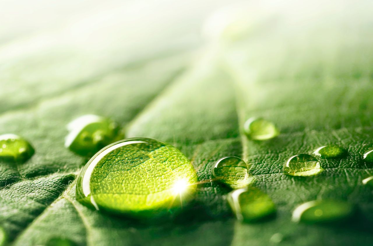Circular systems & emissions reduction