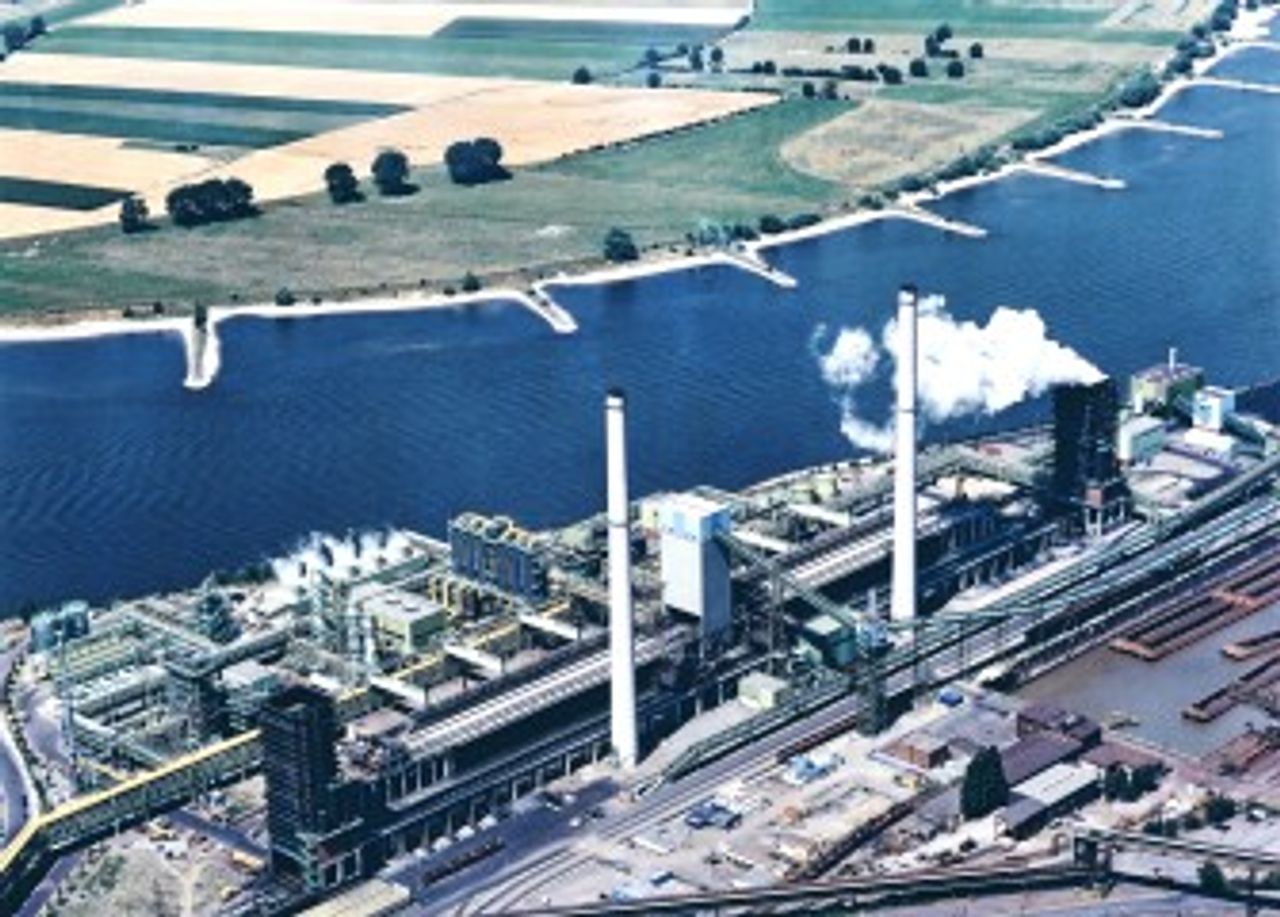Carbonaria