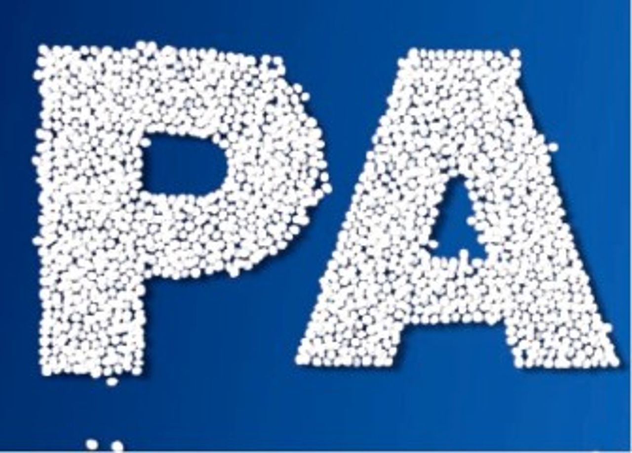 Grupa Azoty ATT Polymers GmbH