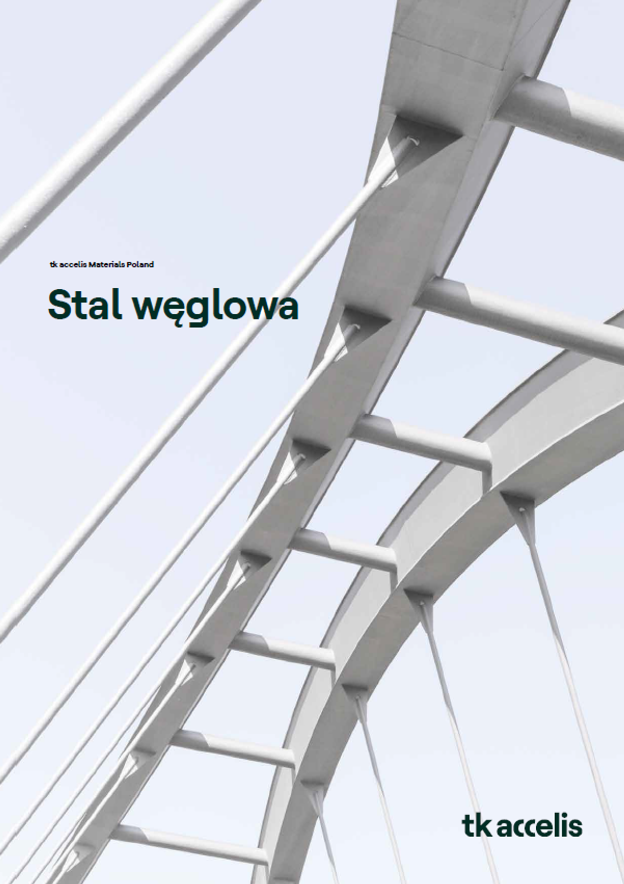 Katalog Stal węglowa