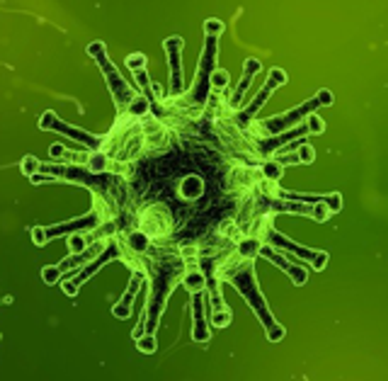 Afbeelding Coronavirus