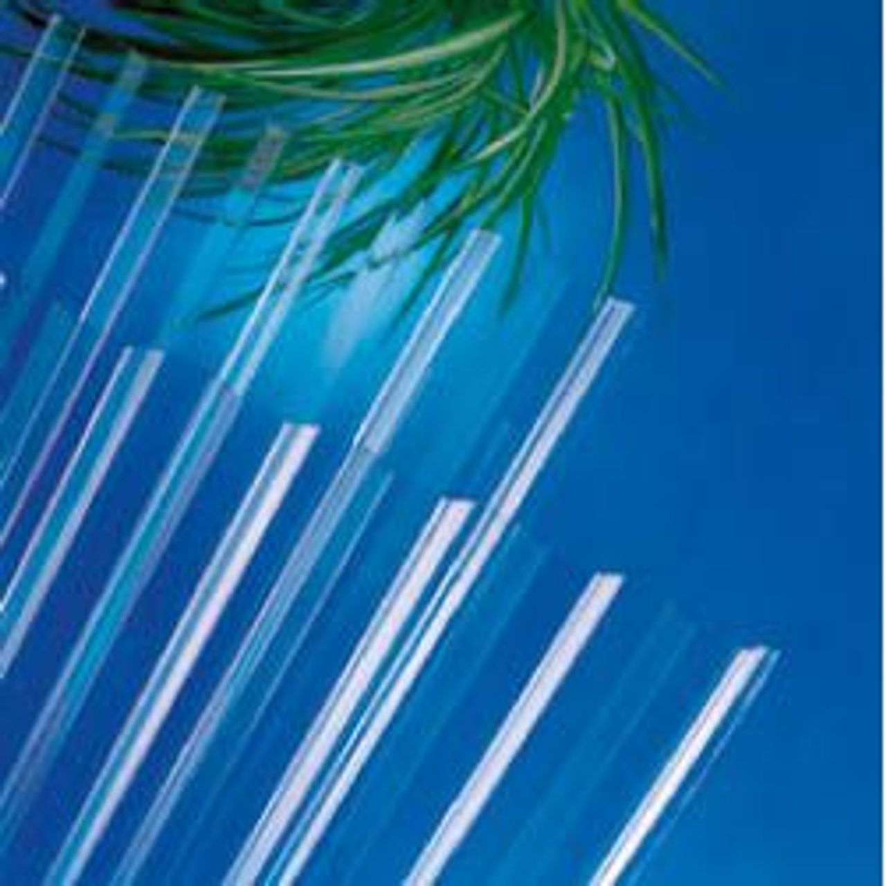 Afbeelding plaques ondulées en polycarbonate