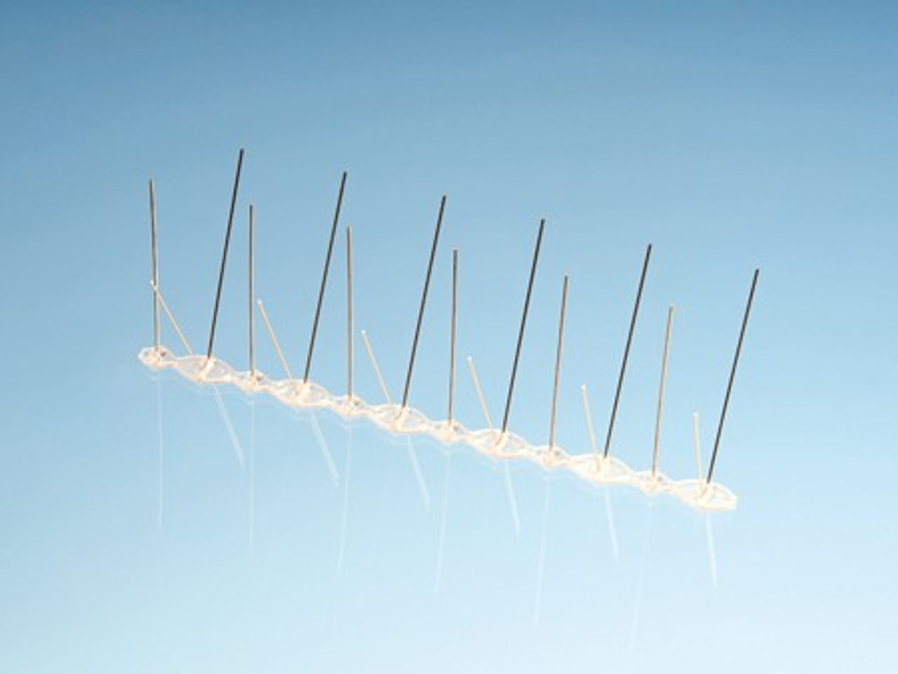 Afbeelding ECOPIC® -duivenwering Ultra 2