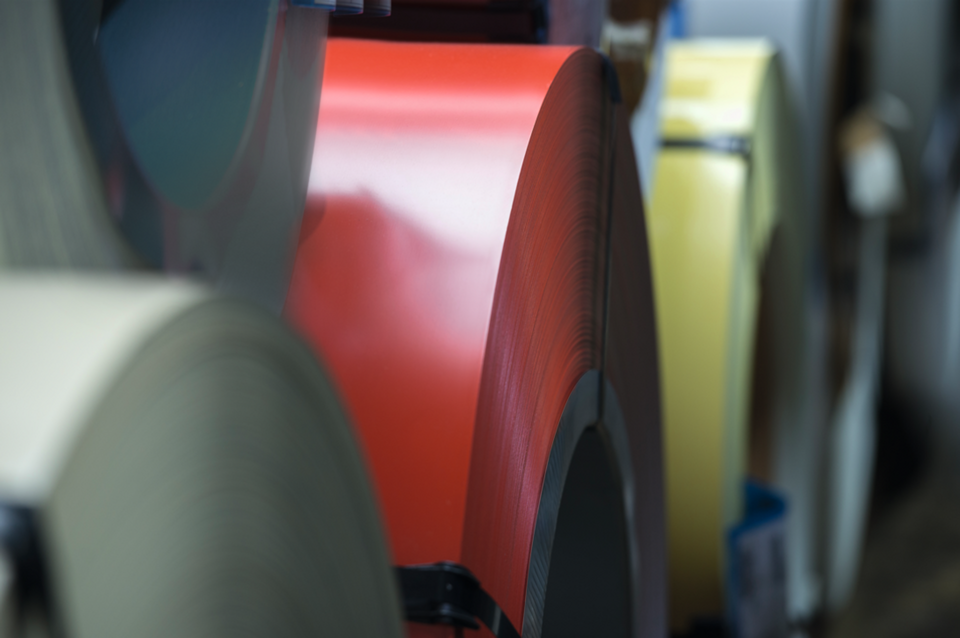Organic coated sheet