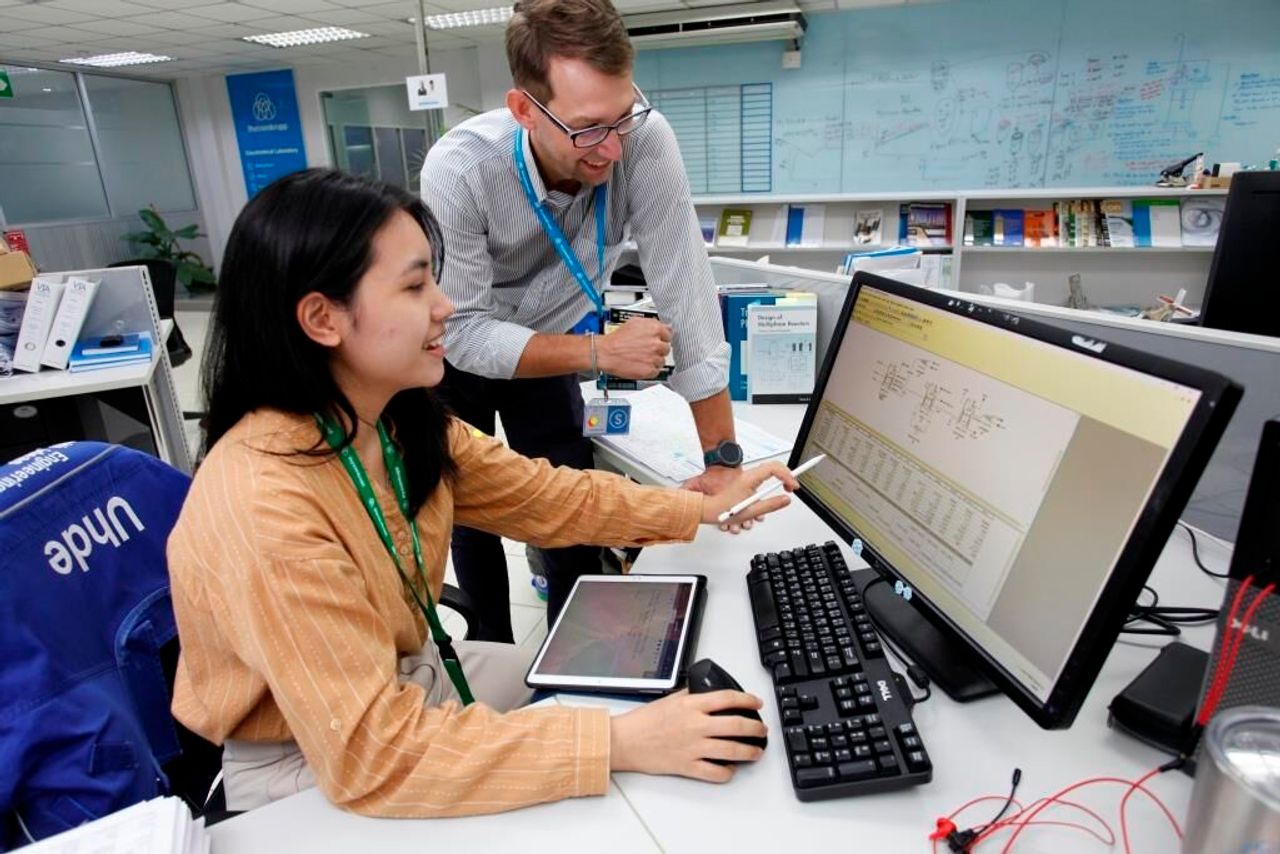 batch simulation software